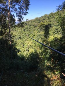 Bis zu 400 Meter lang sind die Stahlseile über die Schluchten © 2017